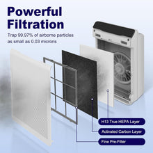 Load image into Gallery viewer, Cost-Effective HEPA Filter Replacement Pack for Winix C535, 5300, 5500 Models