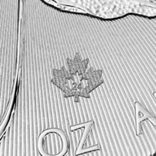 Load image into Gallery viewer, Unique 5-Coin Silver Maple Leaf Lot - Random Years, High Reflectivity and Purity
