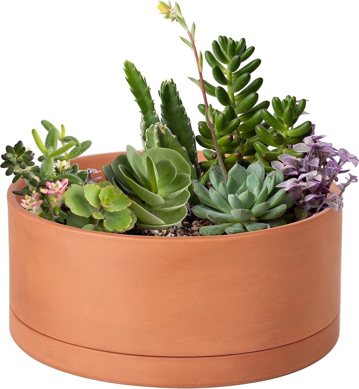 10-Inch Round Succulent Terracotta Pot with Drainage & Saucer – Elegant Choice