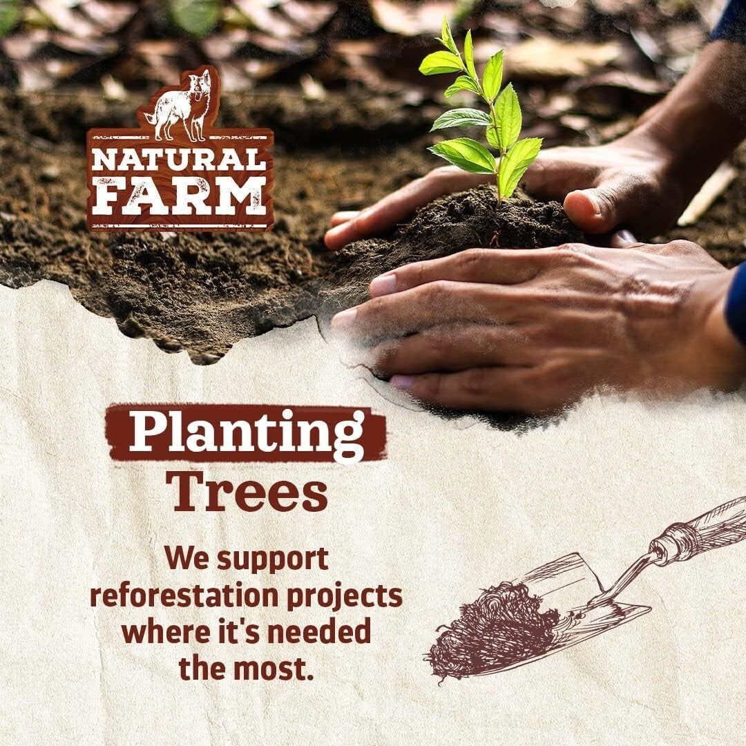 Dental Care 6 Inch Bully Sticks - 5 Count, Fully Digestible Beef Chews