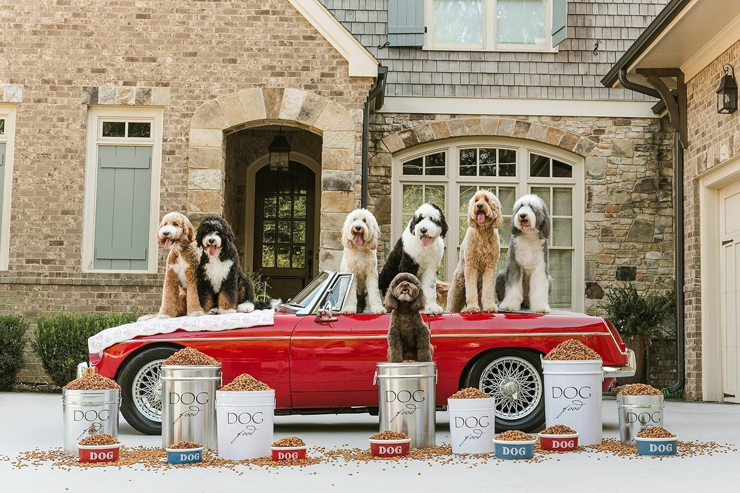 Classic Rectangular Dog Food Bin with Airtight Lid – Stylish 40lbs Storage