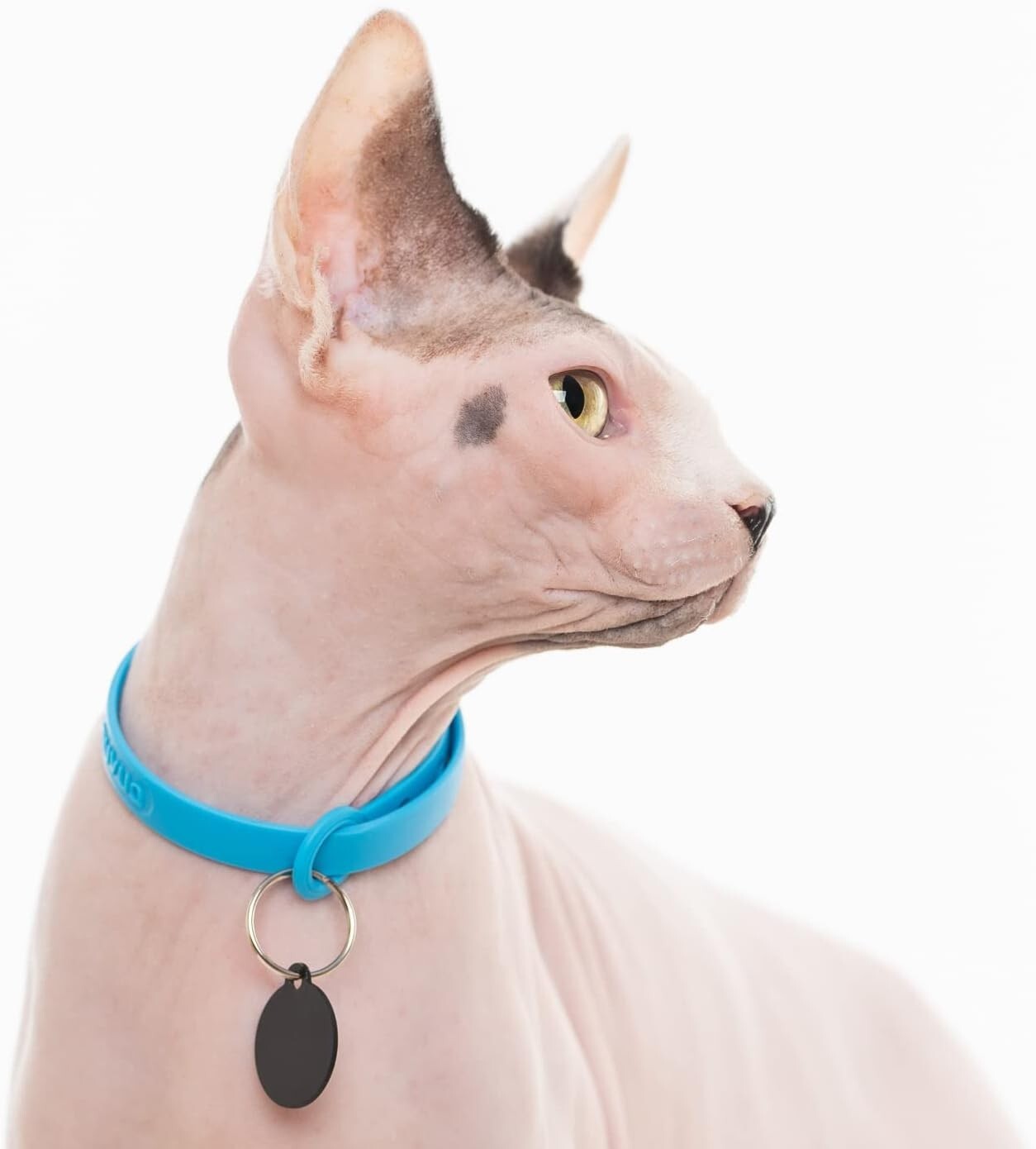 5 Pack Adjustable Breakaway Cat Collars - Soft & Lightweight Safety Set