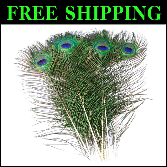 Genuine 100 Pack of Natural Peacock Feathers - Iridescent 16-18 Inch Lengths