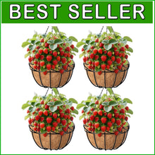Load image into Gallery viewer, Elegant 4-Pack 14-Inch Metal Baskets with Coco Liners for Outdoor Decoration