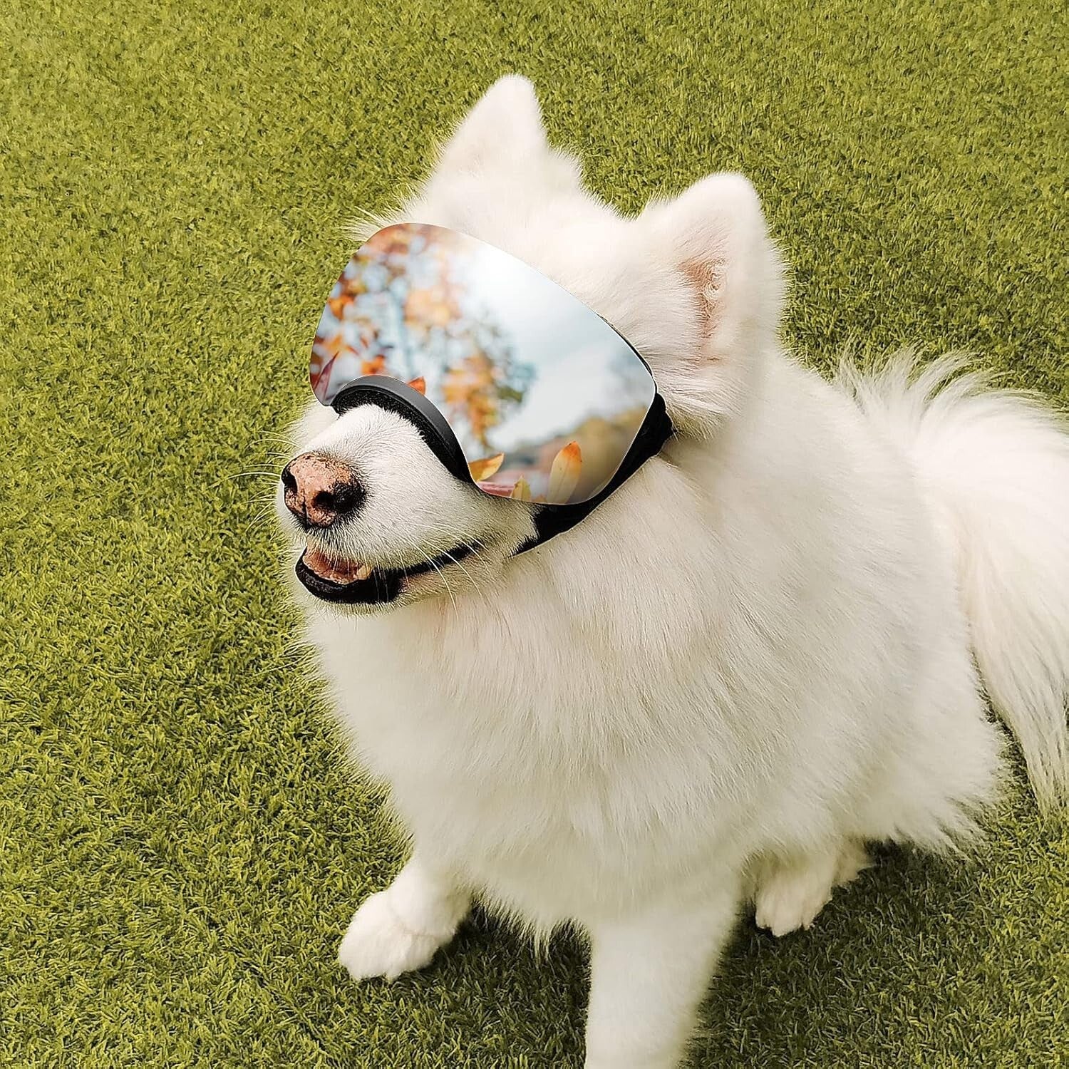 Adjustable UV400 Dog Sunglasses for Medium to Large Breeds - Windproof & Stylish