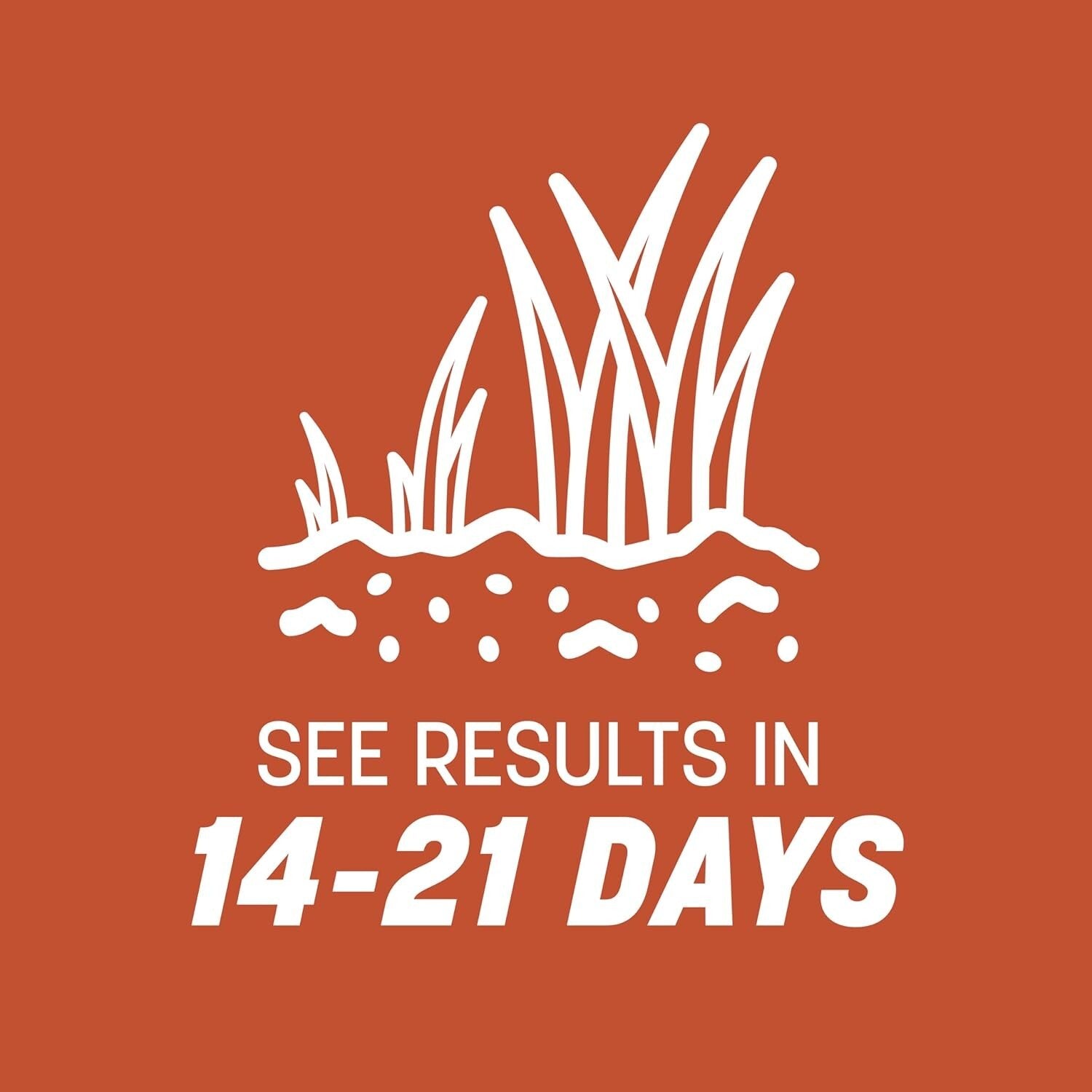 15 lb Premium Bermudagrass Grass Seed - Thrives in Full Sun & Low Mowing Needs