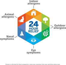 Load image into Gallery viewer, Powerful Allergy Relief Nasal Spray with Bonus Tissues - 144 Sprays, Pack of 2