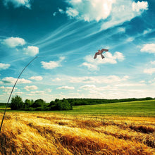 Load image into Gallery viewer, Red Bird Scarer Kite with Adjustable 4m Pole - Effective Crop Protection