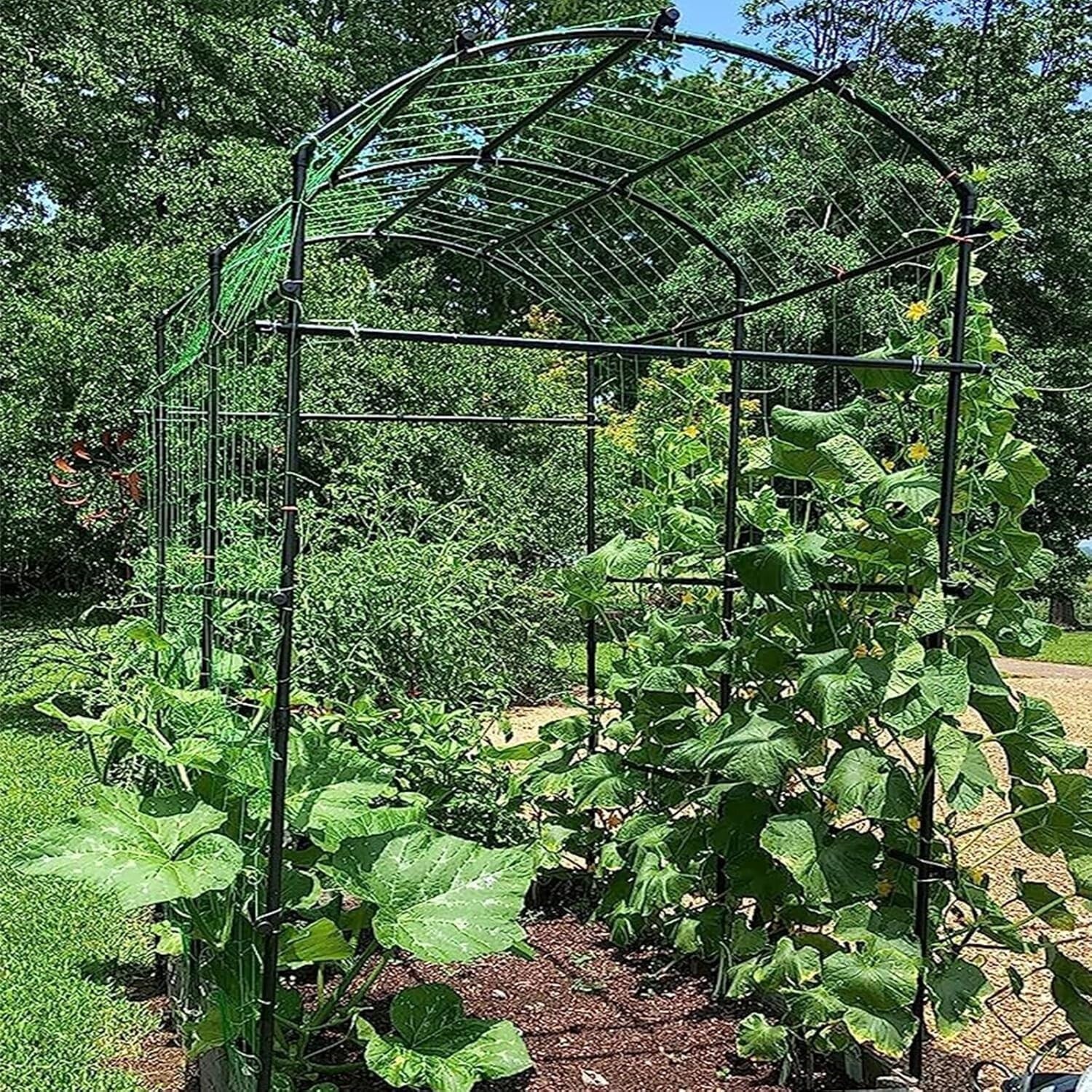 Classic 87-Inch Tall Metal Garden Arch Trellis for Climbing Plants Support