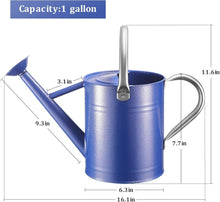 Load image into Gallery viewer, Premium Galvanized Steel Watering Can - 1 Gallon, Ergonomic Handles, Navy Design