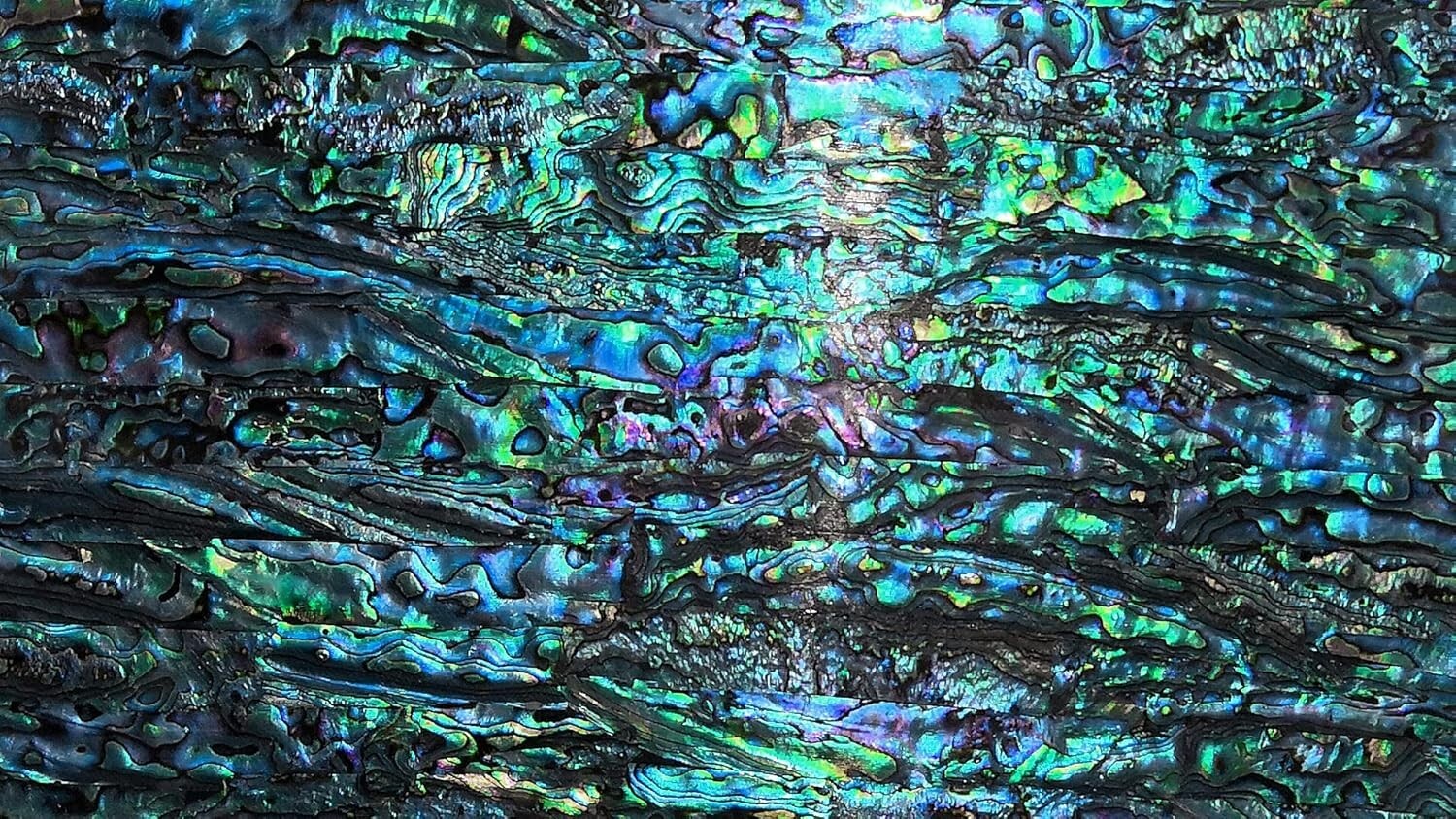 Transparent Abalone Shell Sheets - Perfect for Instruments, Furniture & More