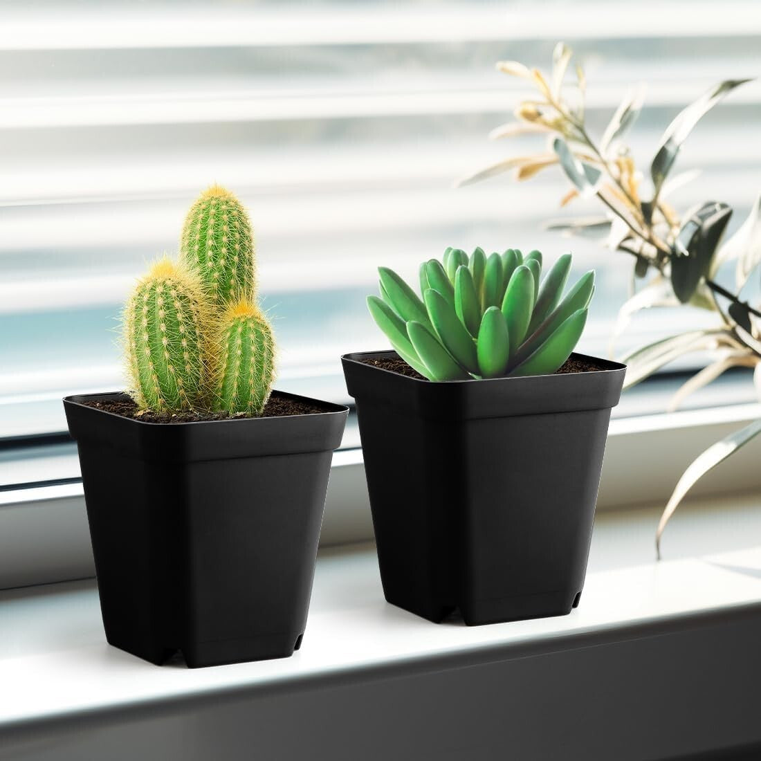 Durable 3.5 Inch Small Plant Pots - 120 Pack with Drainage Holes for Succulents