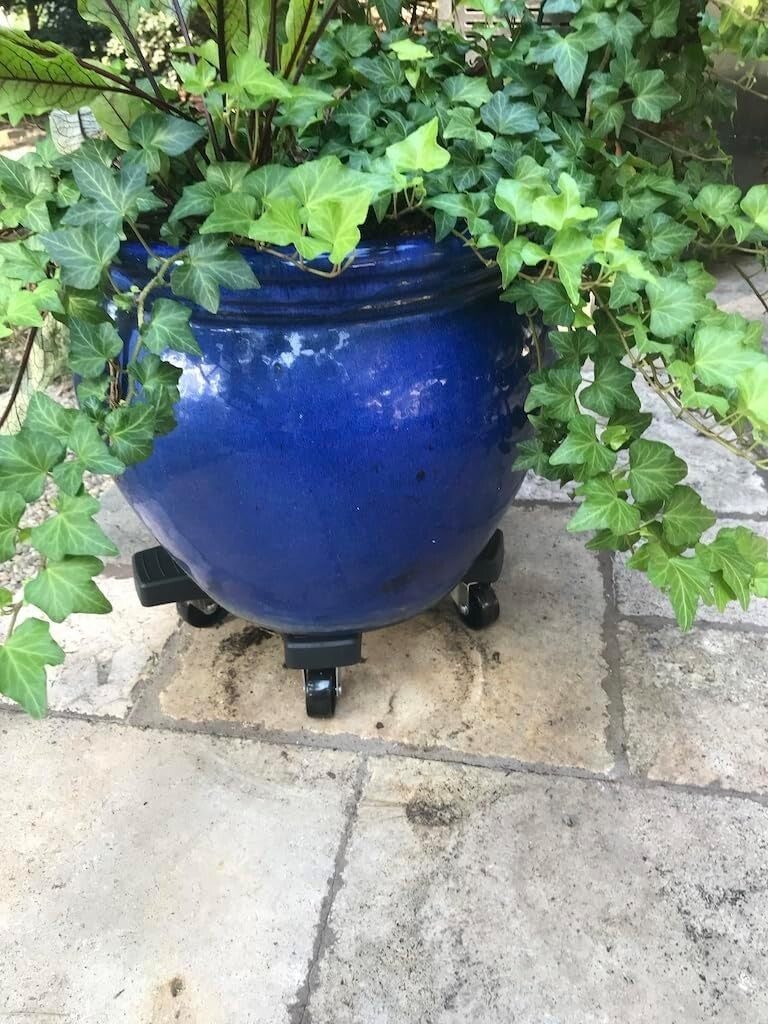 Heavy-Duty 16-Inch Plant Caddie with Robust Wheels for Effortless Plant Movement