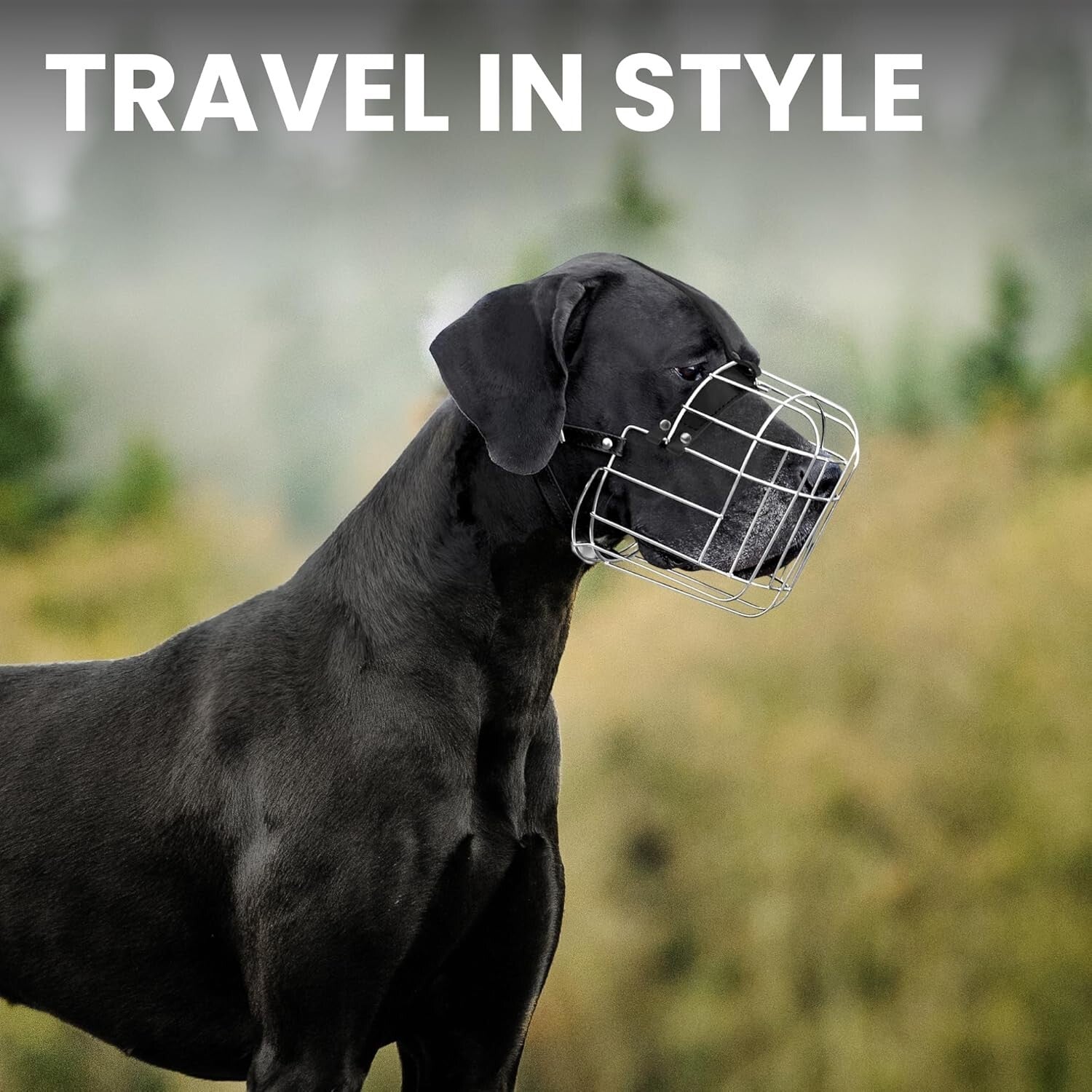 Durable Stainless Steel Dog Muzzle for Great Danes - Comfortable & Humane