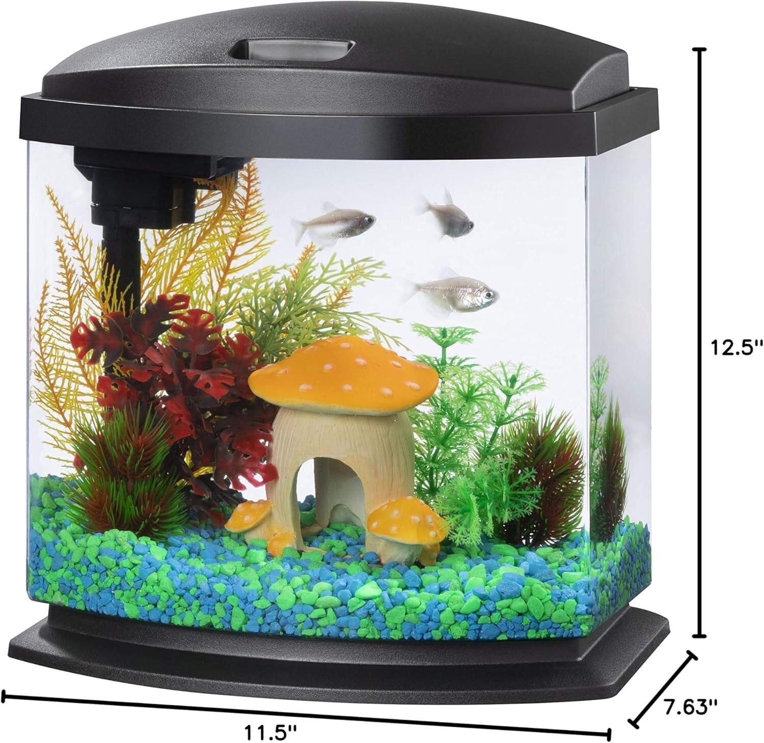 Acrylic Desk Aquarium Kit - 2.5 Gallon LED Fish Tank with SmartClean System