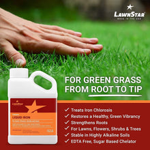 Load image into Gallery viewer, 1 Gal Liquid Iron for Fast Plant Recovery &amp; Vibrant Lawn - Multi-Purpose Use