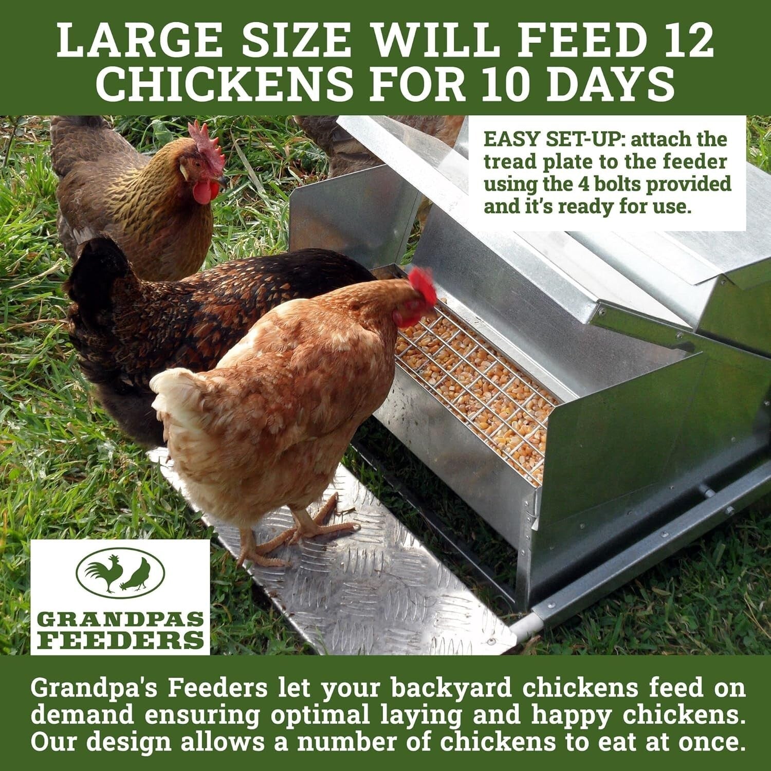 Galvanized Steel Automatic Feeder - Reliable 10-Day Supply for Backyard Chickens