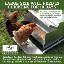 Load image into Gallery viewer, Galvanized Steel Automatic Feeder - Reliable 10-Day Supply for Backyard Chickens