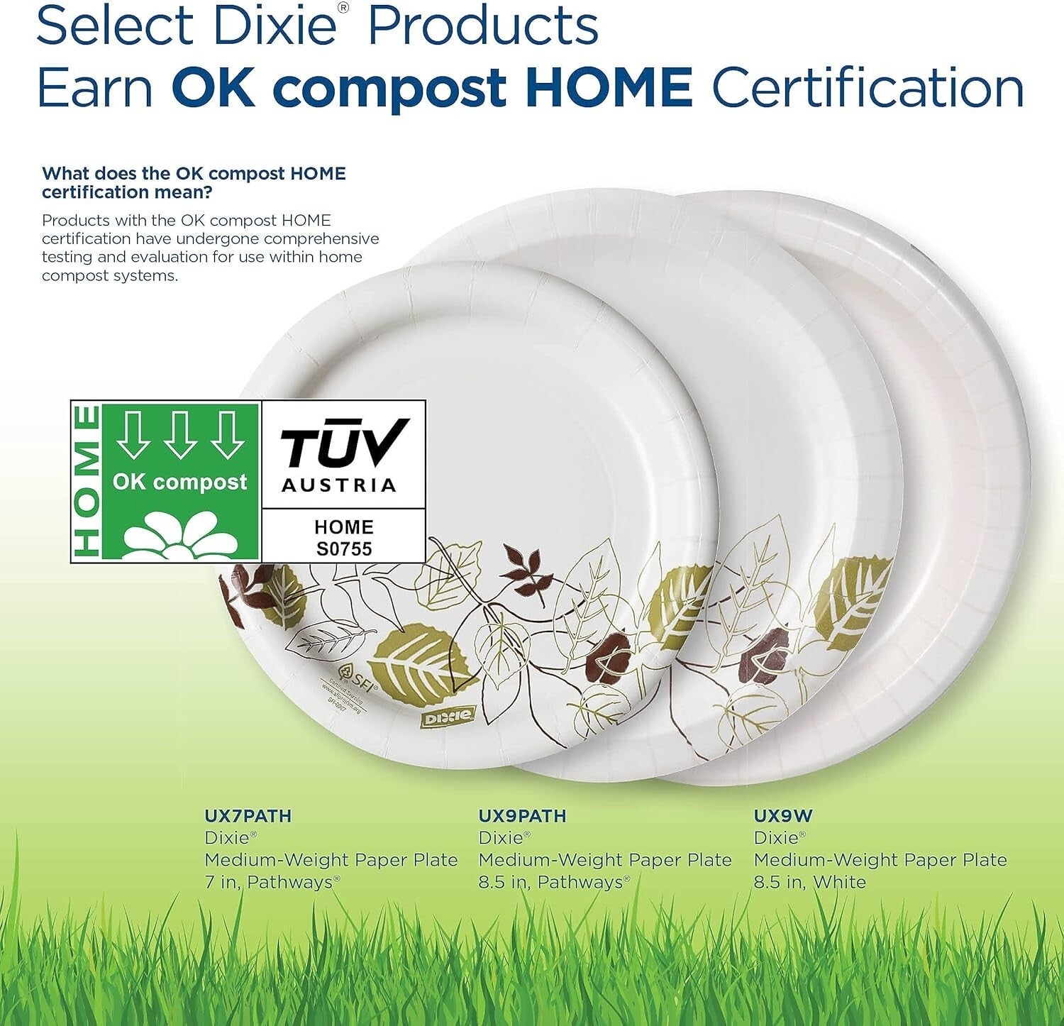 Elegant 8.5" Dixie Pathways Plates - 500 Count Medium-Weight for Any Occasion