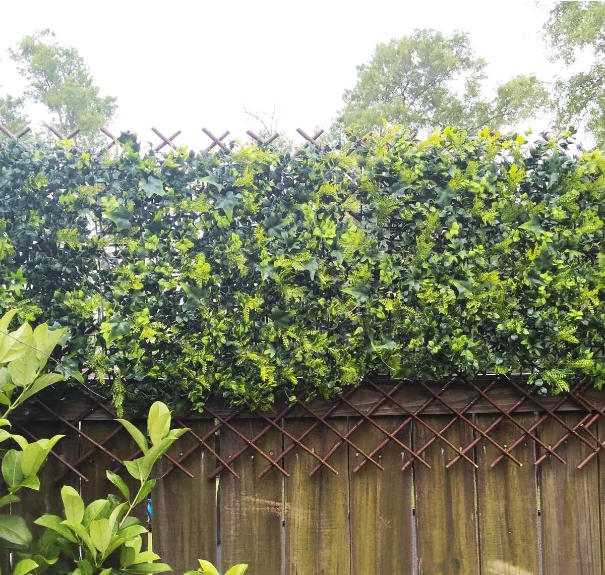 Durable Willow Trellis for Climbing Roses & Ivy - 92"w X 36"h Expandable Design