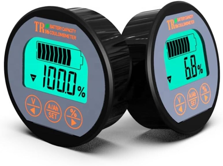 Electric Vehicle Battery Monitor: 8-80V, 0-100A - Reliable Performance Tracker
