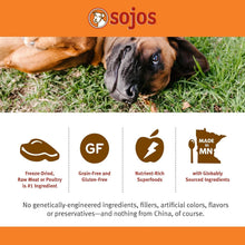 Load image into Gallery viewer, Healthy 1.75 lb Chicken Dehydrated Dog Food - Grain-Free &amp; Ready in Minutes