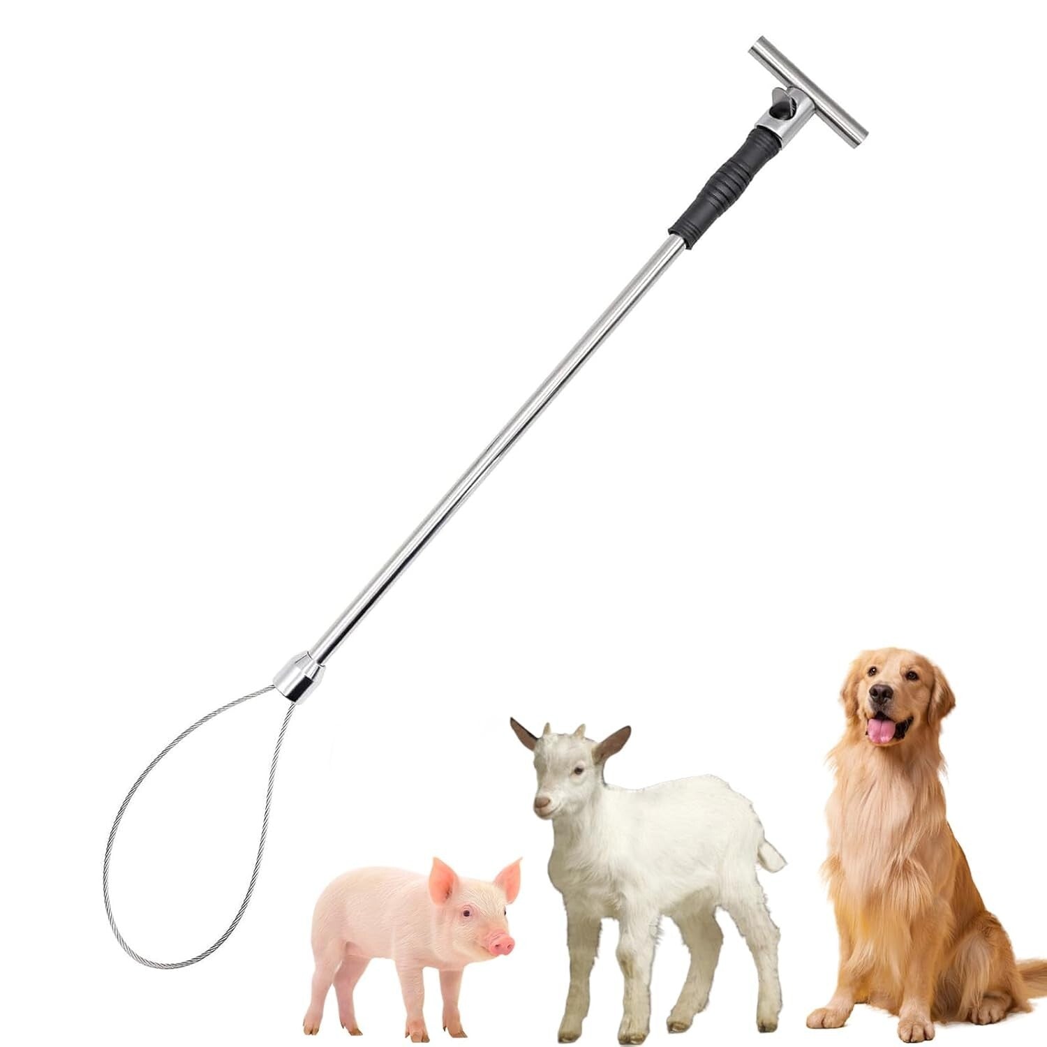 Premium Adjustable Animal Control Pole with Locking Noose for Livestock and Dogs