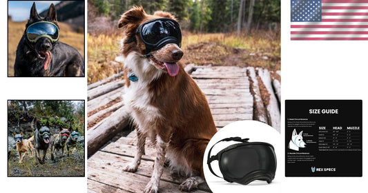 V2 X-Large Dog Goggles in Black - Protective Eyewear for Active Pups