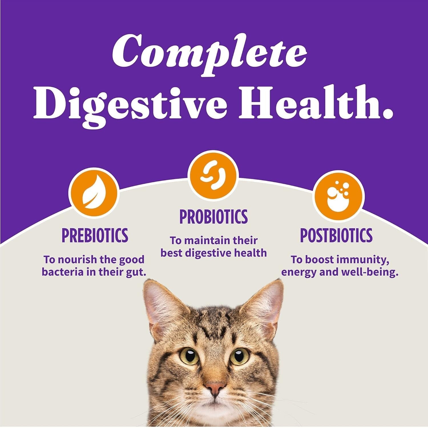 All-Natural Grain-Free Cat Kibble with Cage-Free Chicken for Digestive Health