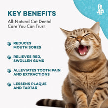 Load image into Gallery viewer, Natural Cat Dental Care &amp; Fresh Breath Remedy - 400 Tiny Pills for Oral Health