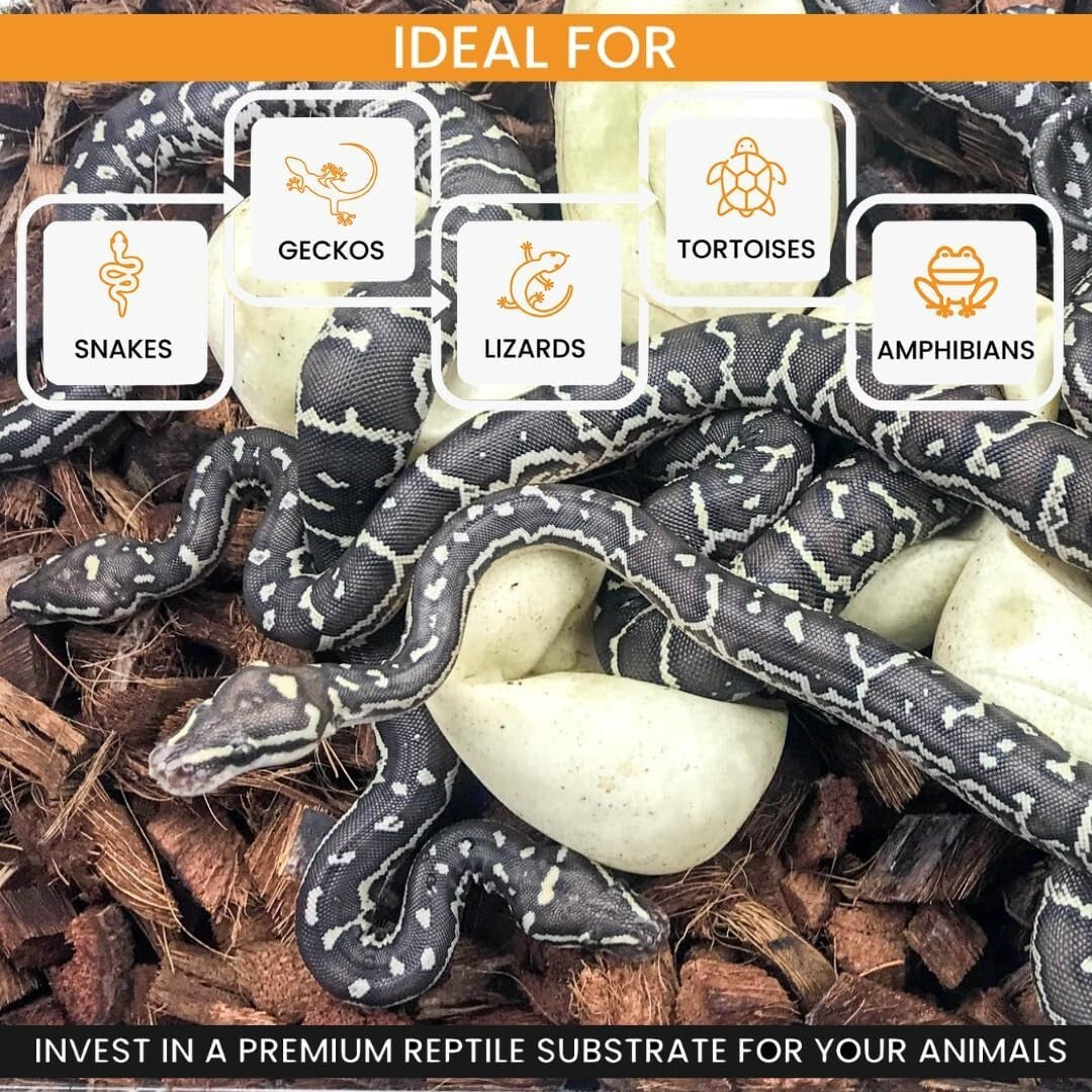 36 Quart Loose Coconut Chip Substrate for Healthy Snake and Tortoise Enclosures