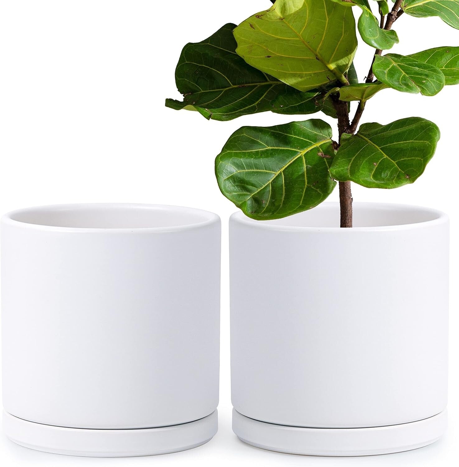 Premium Round Ceramic Planter Pots - 10 Inch with Saucer & Drainage System