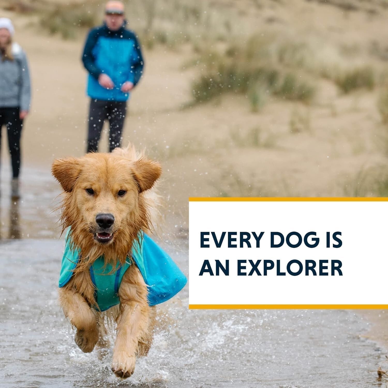 Lightweight Windproof Dog Jacket with Reflective Trim - Small Mineral Yellow