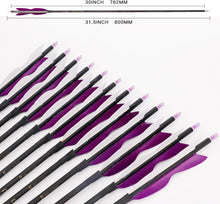 Load image into Gallery viewer, Durable 31" Carbon Arrows with 5" Turkey Feathers for Recurve &amp; Compound Bows
