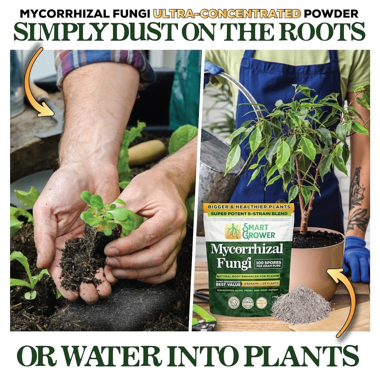 5-Strain Mycorrhizal Fungi Blend - Potent Support for Garden and Lawn Growth