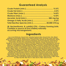 Load image into Gallery viewer, Fiesta Guinea Pig Food, Nutrient-Rich 25 lbs Blend for Dental Health &amp; Digestion