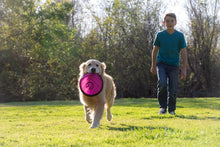 Load image into Gallery viewer, 9-Inch Flippy Flopper Dog Flyers - Pack of 5, Safe &amp; Durable for All Breeds