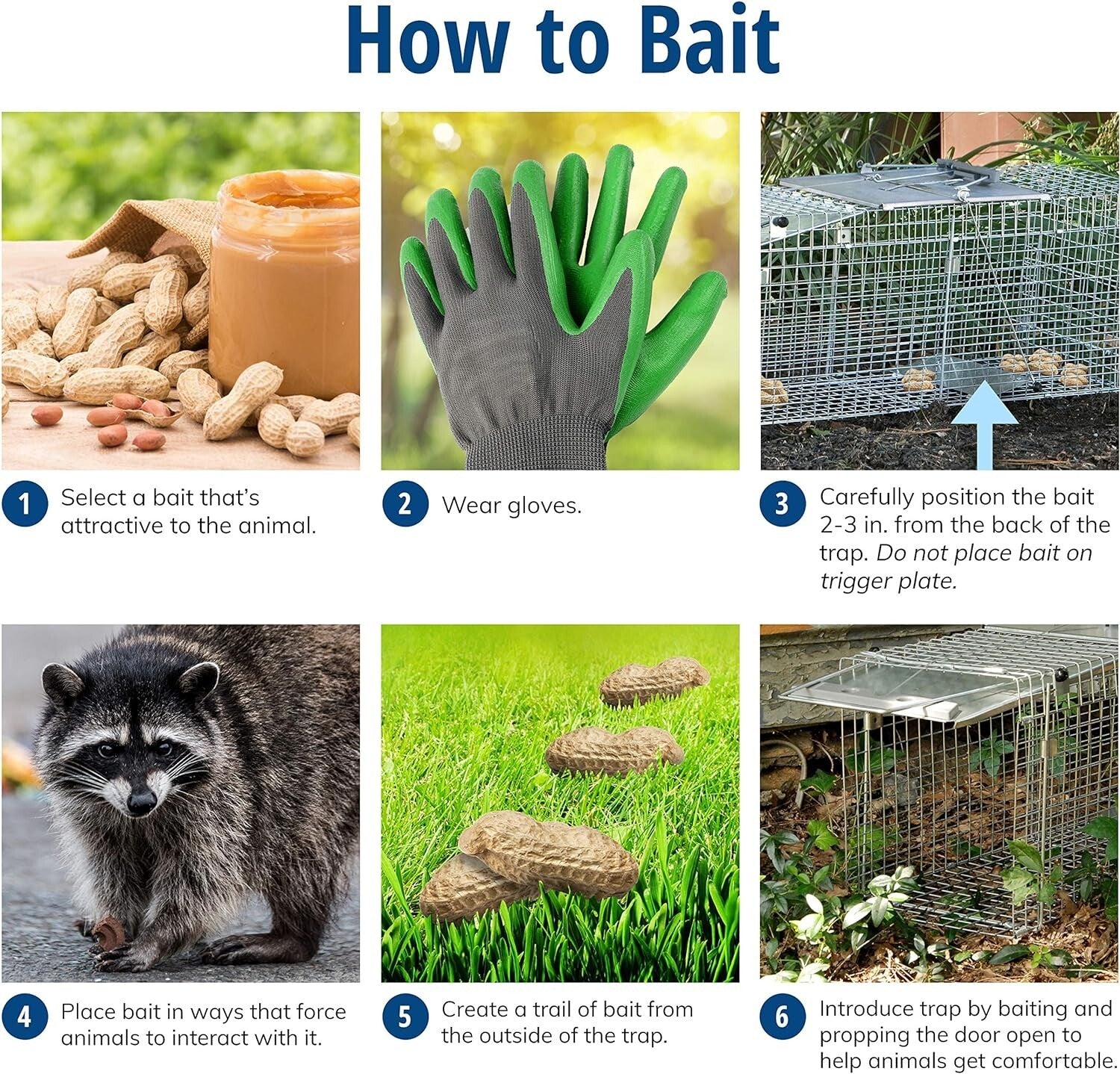 Efficient Large 1-Door Animal Trap for Armadillos, Cats & Raccoons - Easy Set