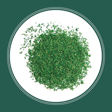 Load image into Gallery viewer, Premium Sun &amp; Shade Grass Mix 20 lb - Covers 6,660 sq. ft. Effortlessly