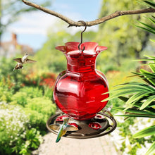 Load image into Gallery viewer, Durable 23oz Outdoor Hanging Hummingbird Feeder - Leak-Proof &amp; Rustproof, 2-Pack