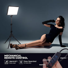 Load image into Gallery viewer, 2900-7000K Adjustable Studio Lighting Kit with 61" Tripods - Perfect for Vlogs