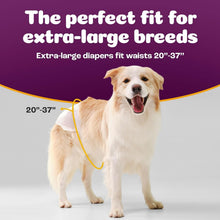 Load image into Gallery viewer, Leakproof X-Large Doggie Diapers for Female Dogs | 28 Count Heat &amp; Incontinence