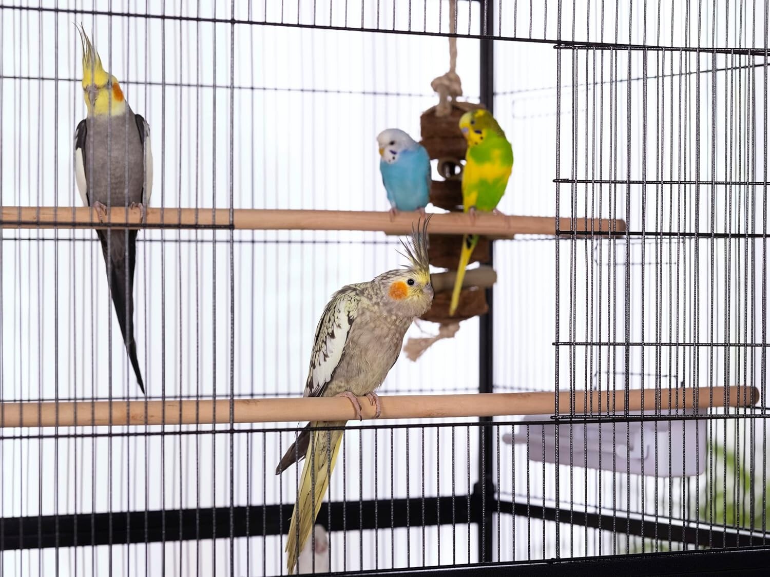 Large Wrought Iron Birdcage, 31"L x 20.5"W x 53"H with Storage & Rolling Casters