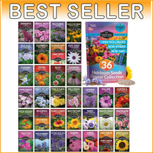 Load image into Gallery viewer, Heirloom Flower Seed Collection | 36 Assorted Pollinator Plants for Your Garden