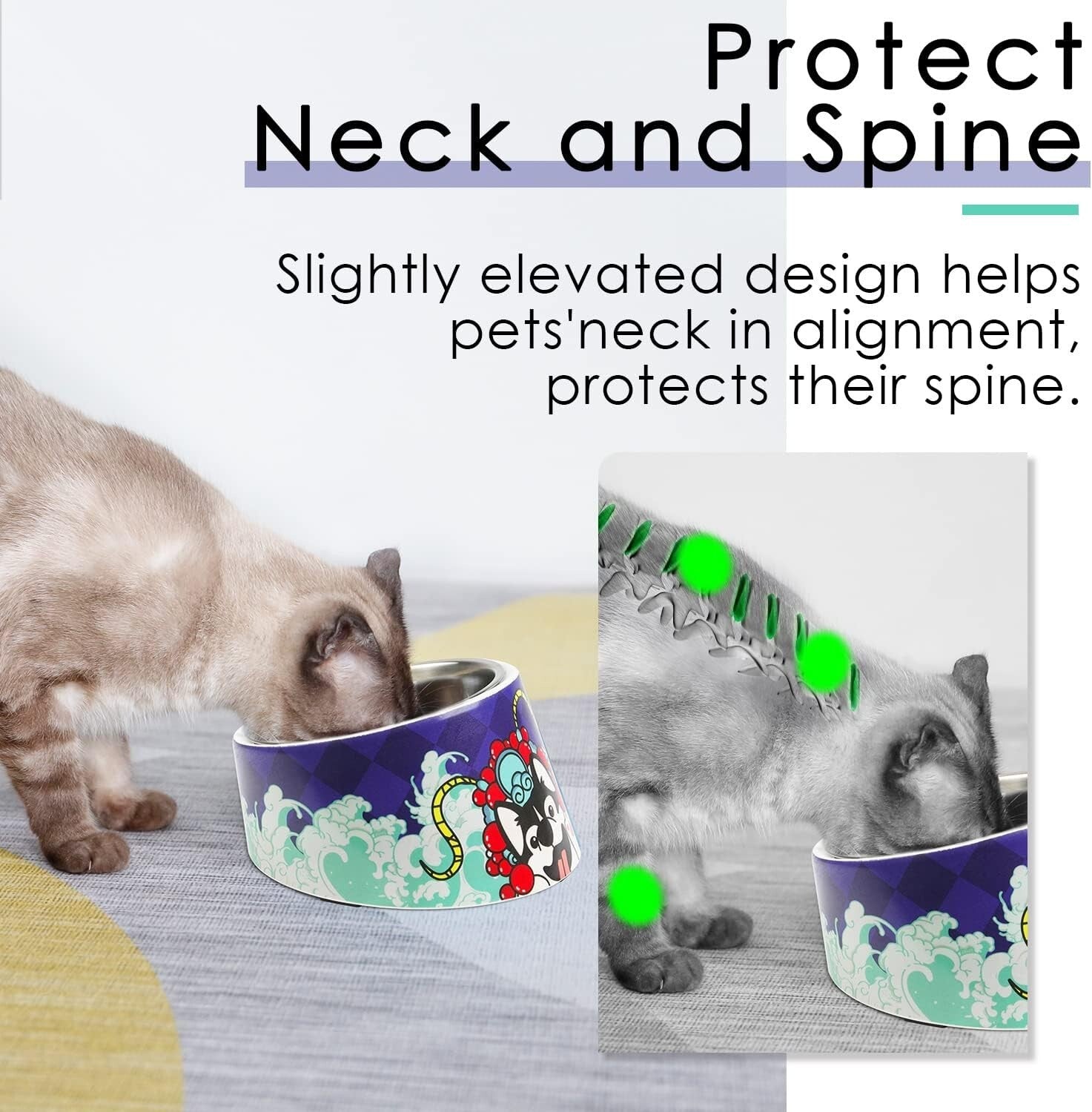 Non-Spill 15° Slanted Pet Bowl for Dogs & Cats - Modern & Functional Design