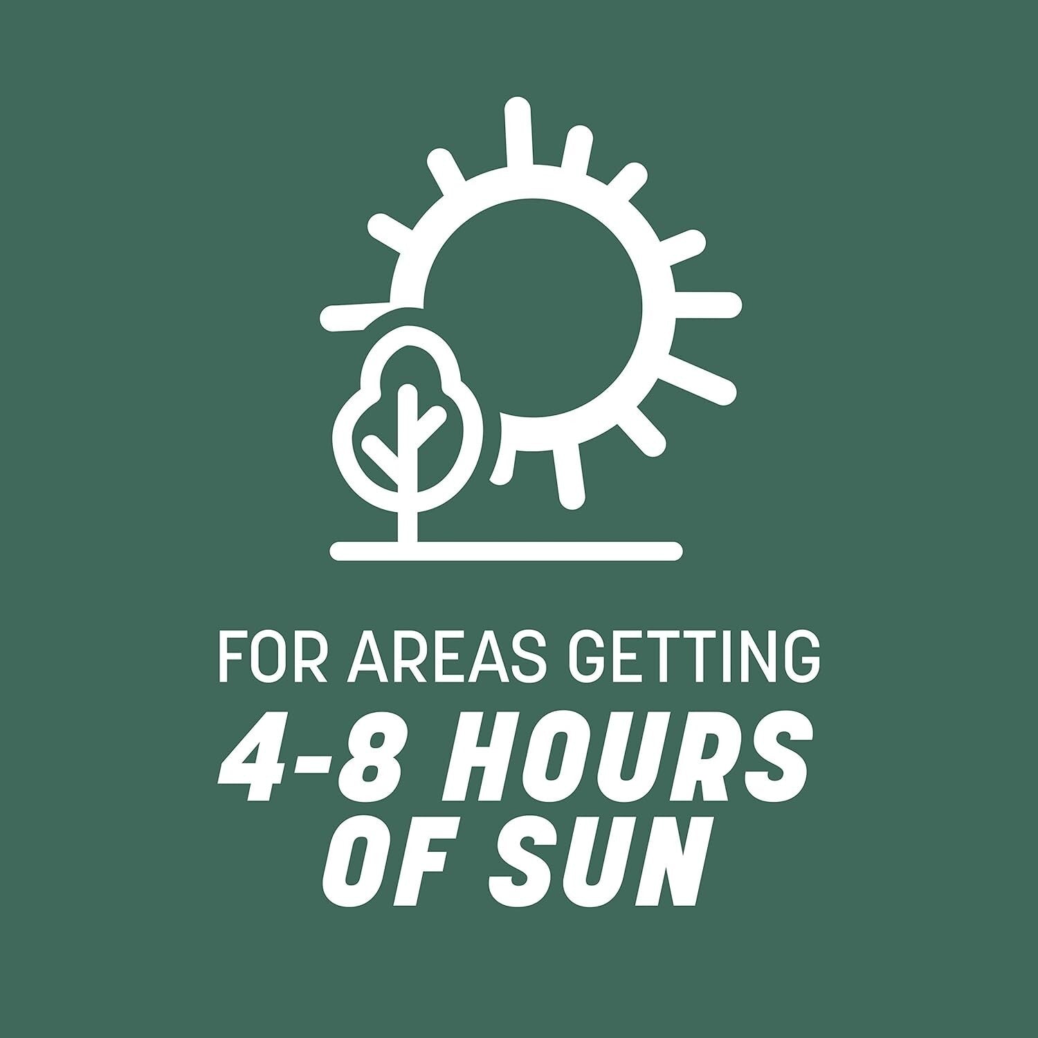 20 lb Kentucky 31 Tall Fescue Grass Seed - Economical, Drought-Resistant Turf