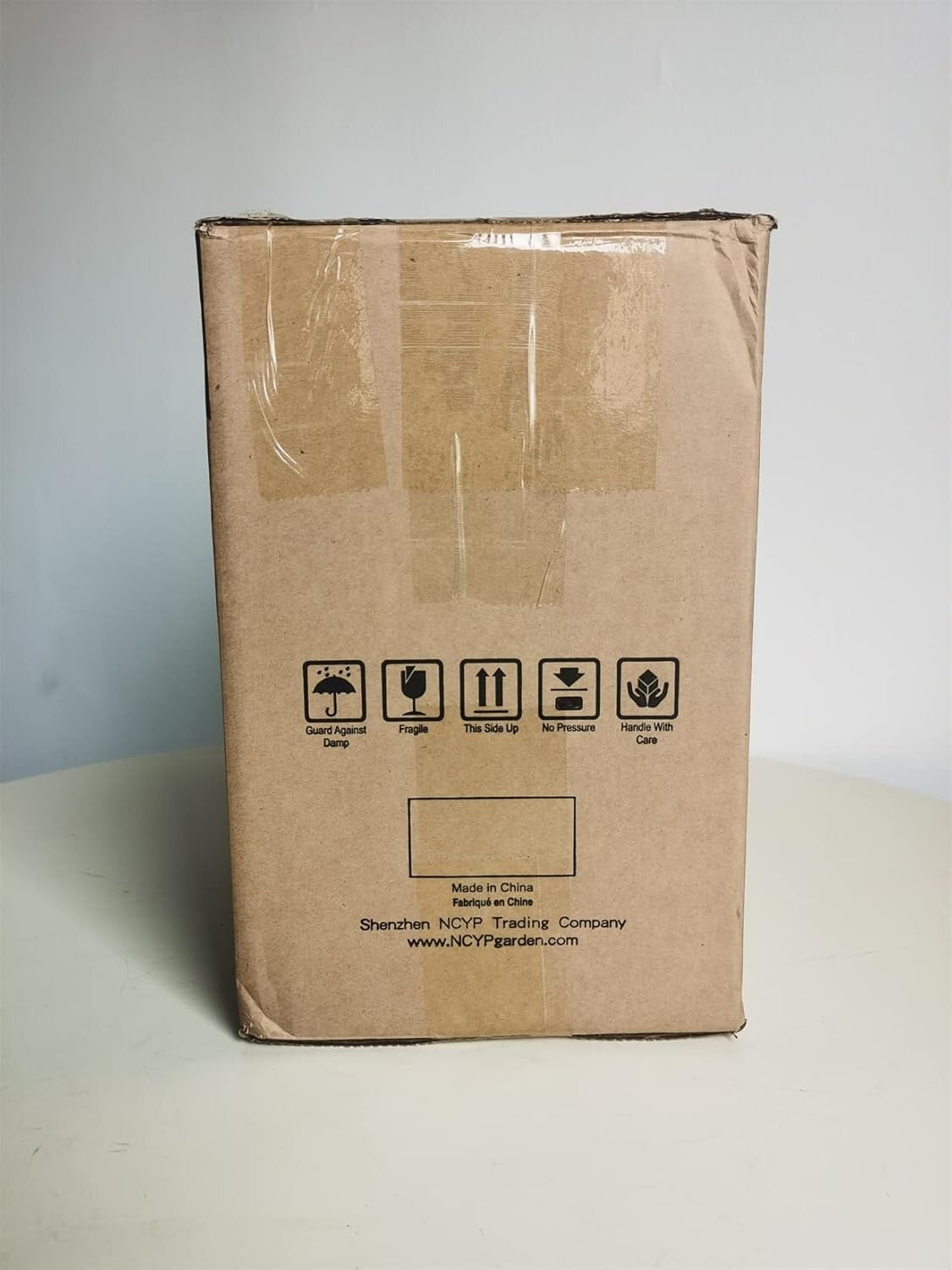 9.84 x 5.31 x 7.87 Black Glass Terrarium - Perfect for Indoor Cacti & Succulents