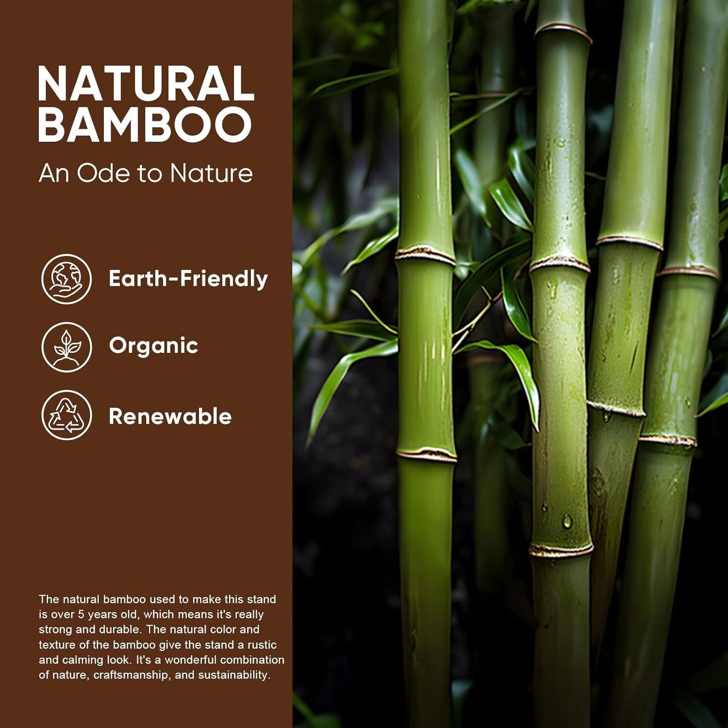 Adjustable Bamboo Plant Stand Set of 2 - Mid Century Modern Design for Interiors