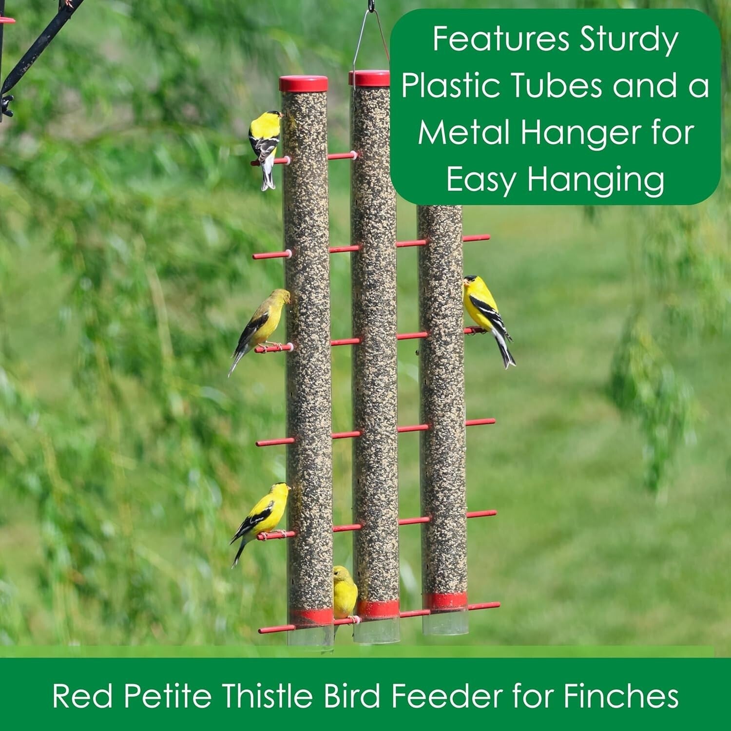 Large Capacity Finch Feeder – 3 Pounds of Seeds with 24 Perches for Goldfinches