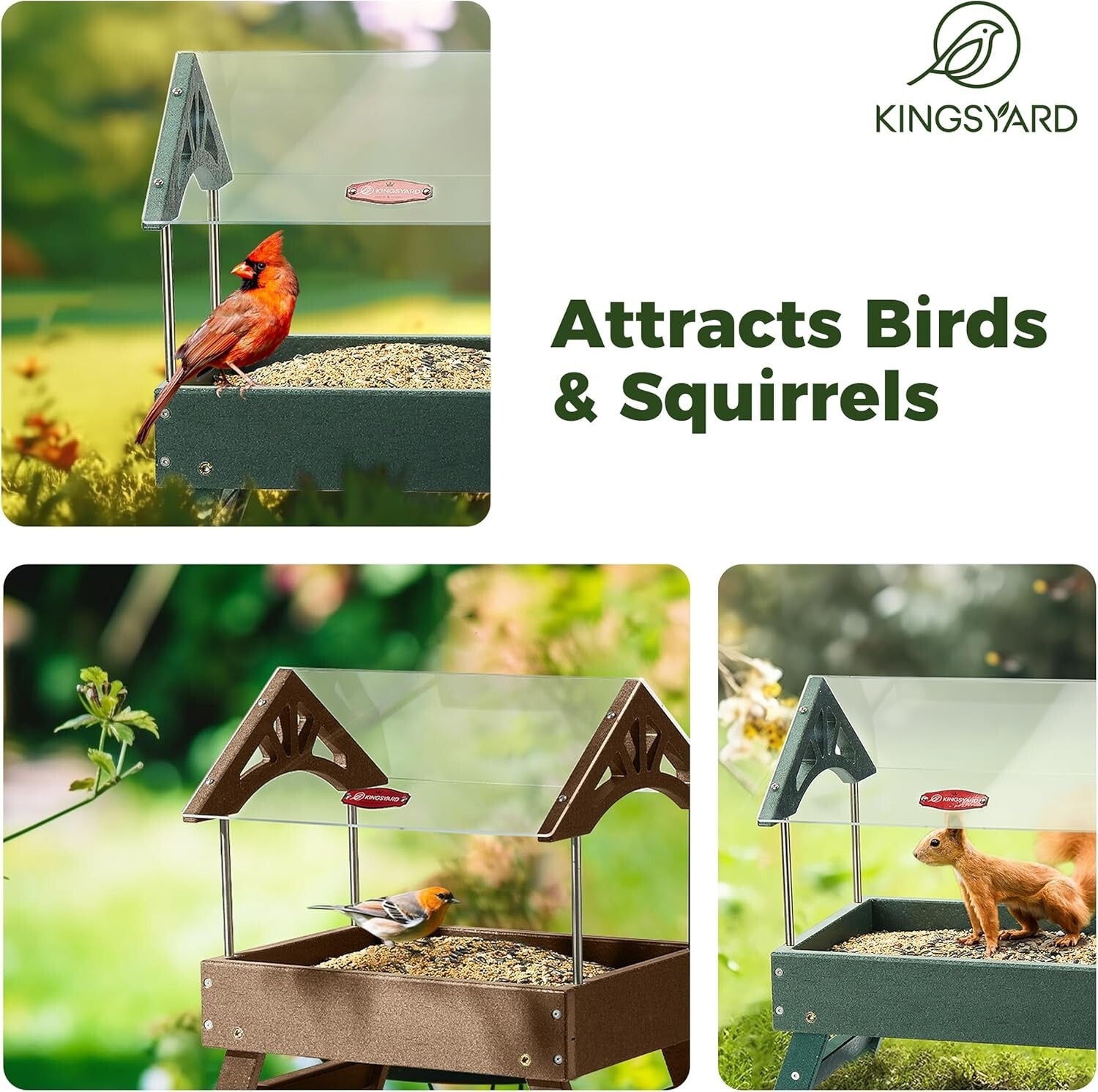 Eco-Friendly Ground Bird Feeder - 5 lbs Capacity for Wild Birds & Squirrels